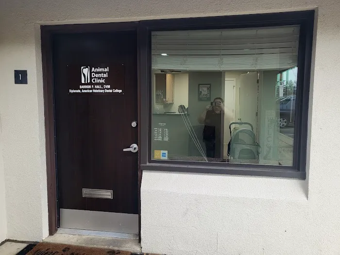 Animal Dental Clinic 12