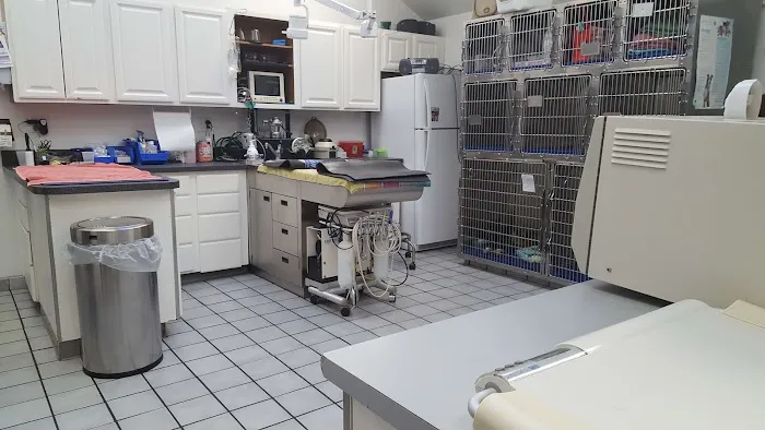 Falls Road Veterinary Hospital, A Thrive Pet Healthcare Partner 12