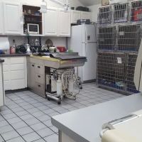 Falls Road Veterinary Hospital, A Thrive Pet Healthcare Partner ico