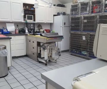 Falls Road Veterinary Hospital, A Thrive Pet Healthcare Partner