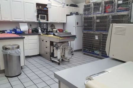 Falls Road Veterinary Hospital, A Thrive Pet Healthcare Partner