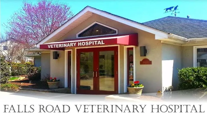 Falls Road Veterinary Hospital, A Thrive Pet Healthcare Partner 12