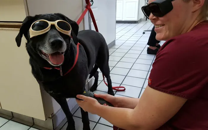 Falls Road Veterinary Hospital, A Thrive Pet Healthcare Partner 12