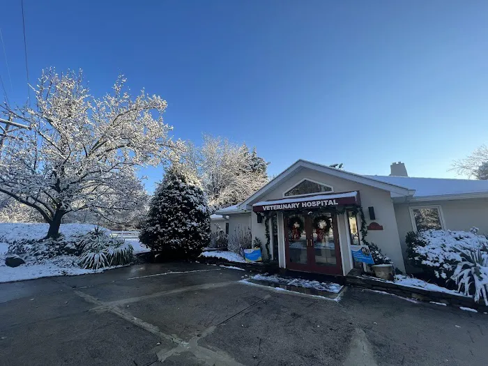 Falls Road Veterinary Hospital, A Thrive Pet Healthcare Partner 12
