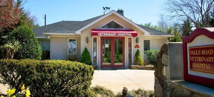 Falls Road Veterinary Hospital, A Thrive Pet Healthcare Partner 12