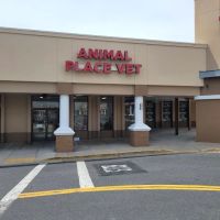 Animal Place Veterinary Hospital ico