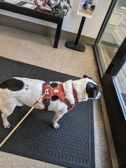 Nebel St. Animal Hospital 3
