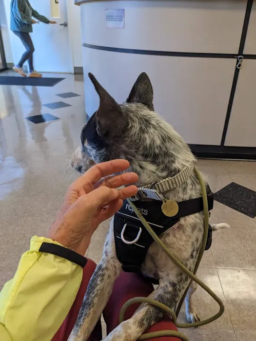 Nebel St. Animal Hospital 1