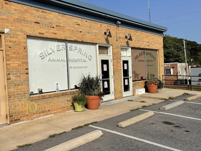Silver Spring Animal Hospital 12