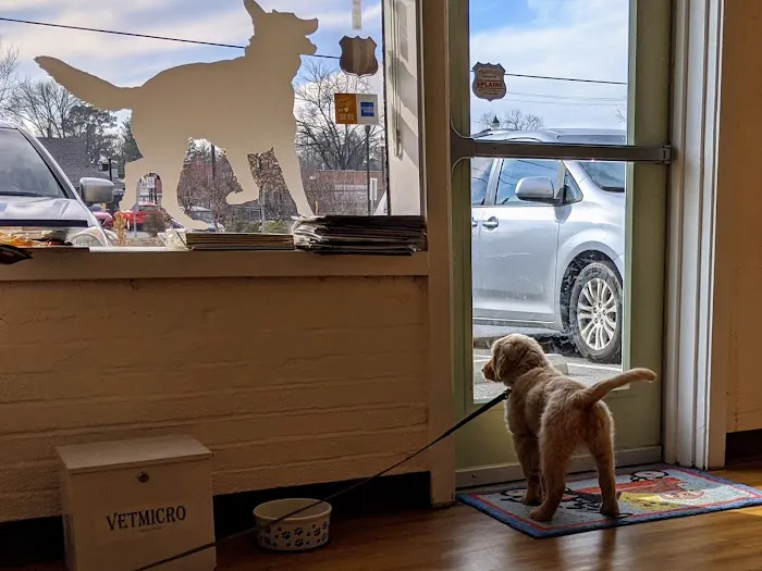 Silver Spring Animal Hospital 12
