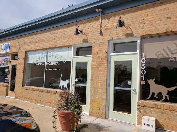 Silver Spring Animal Hospital 12