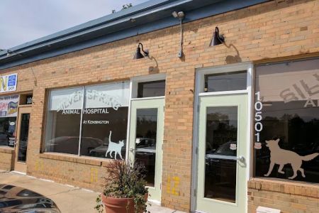 Silver Spring Animal Hospital