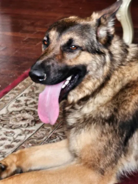 Rockville Pike Animal Hospital 12