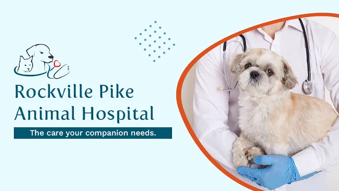 Rockville Pike Animal Hospital 12