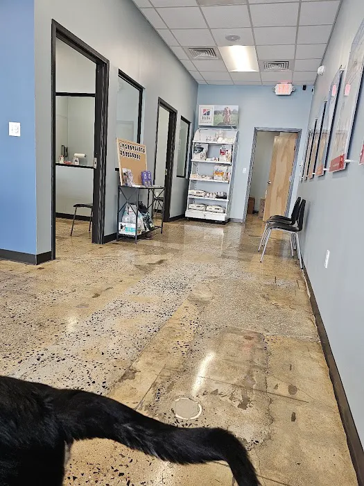 PetWellClinic - North Bethesda 12