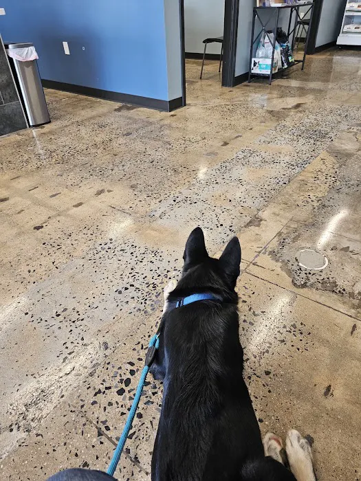 PetWellClinic - North Bethesda 12
