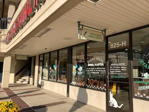 Caring Hands Animal Hospital - Rockville 12