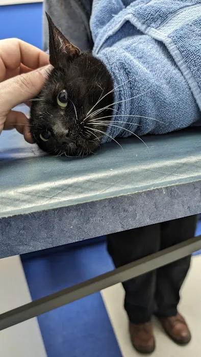 Caring Hands Animal Hospital - Rockville 12