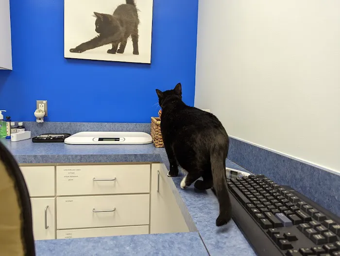 Caring Hands Animal Hospital - Rockville 12