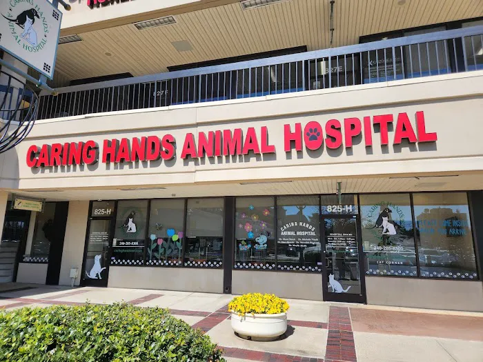 Caring Hands Animal Hospital - Rockville 12