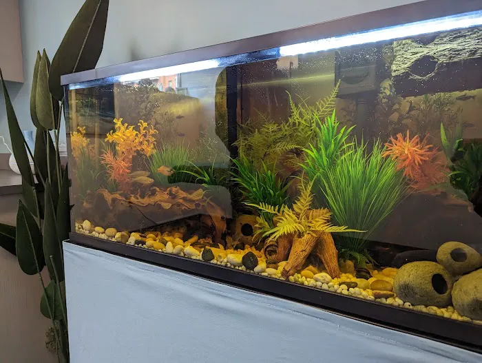 Balance Veterinary Center 12
