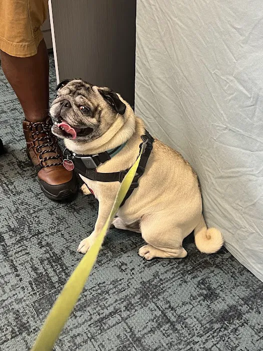 Balance Veterinary Center 12