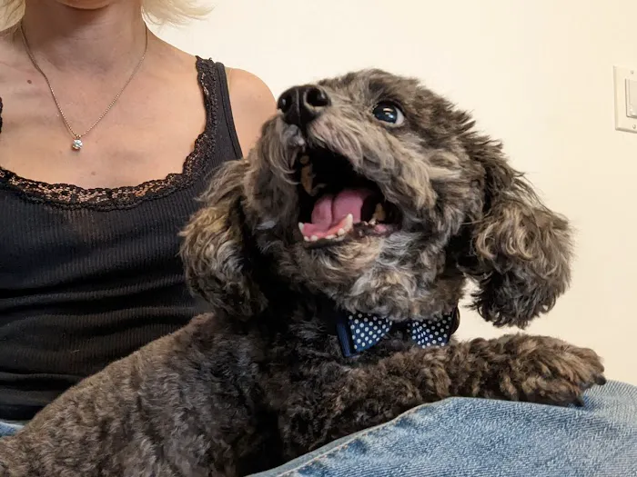 Balance Veterinary Center 12