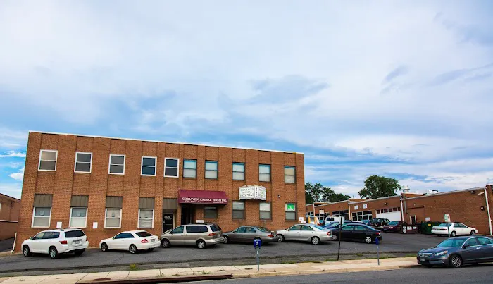 Kenhaven Animal Hospital 4