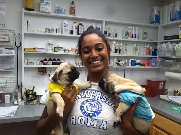 Kenhaven Animal Hospital 3