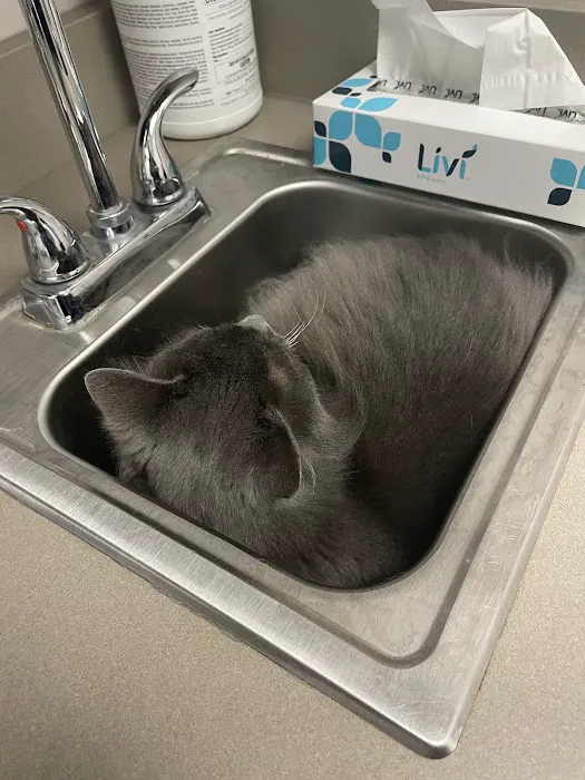 Montgomery Animal Hospital 12
