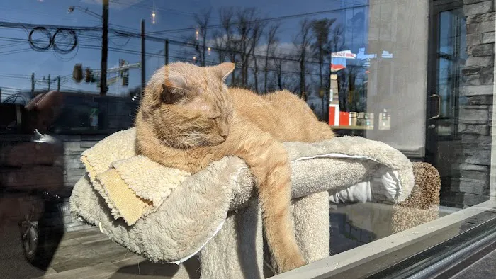 Montgomery Animal Hospital 12