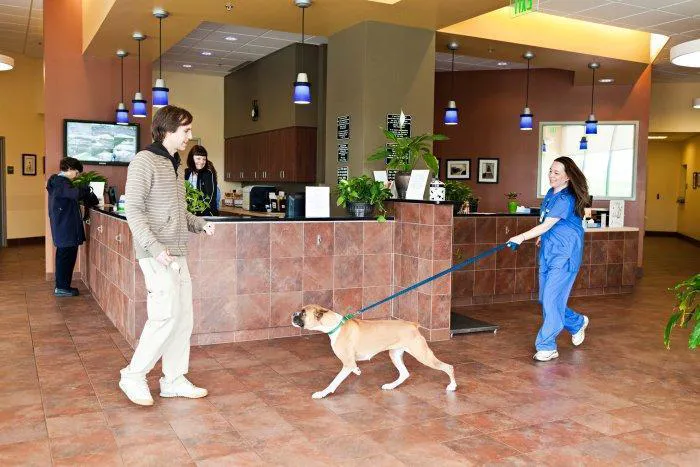 Veterinary Referral Associates 12
