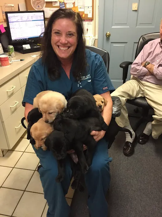 Flower Valley Veterinary Clinic 9