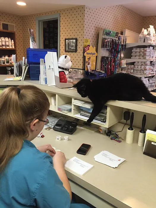 Flower Valley Veterinary Clinic 8