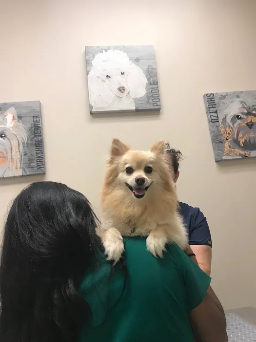 Petvacx Animal Hospital 12