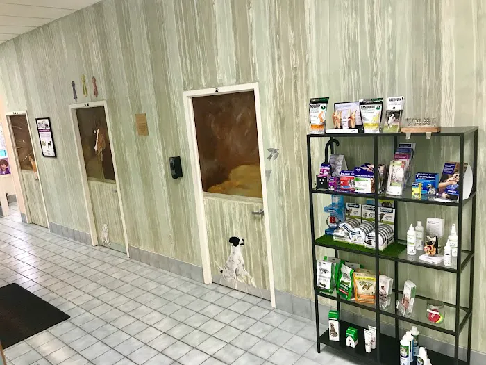 Petvacx Animal Hospital 12