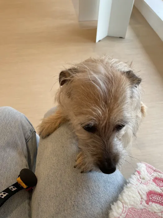 Small Door Veterinary - Bethesda 5