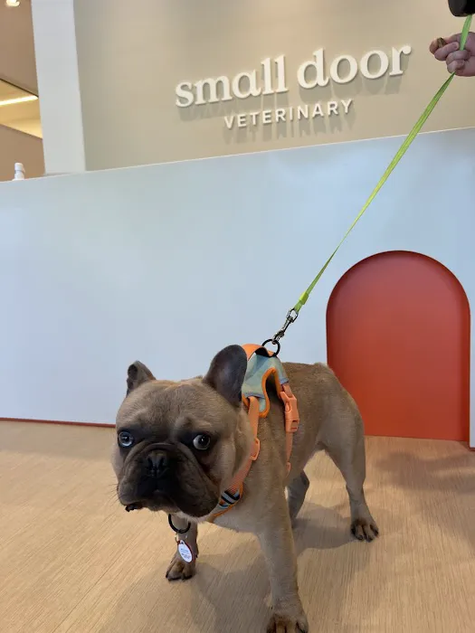 Small Door Veterinary - Bethesda 6