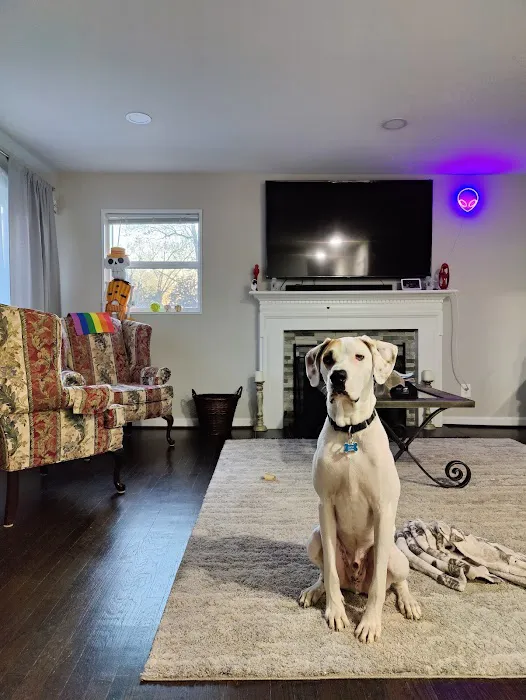 BluePearl Pet Hospital 2