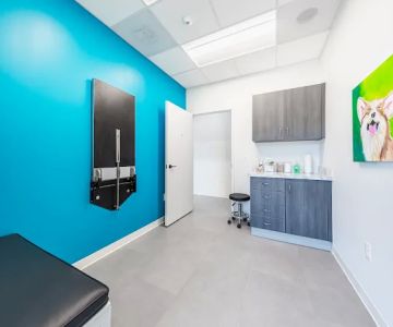 ACHIEVE Veterinary Urgent Care