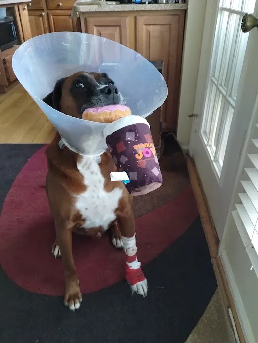 ACHIEVE Veterinary Urgent Care 5