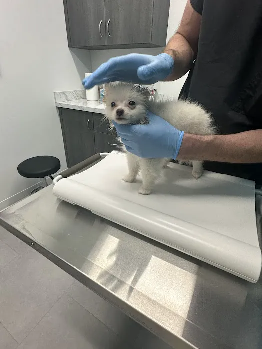 ACHIEVE Veterinary Urgent Care 6