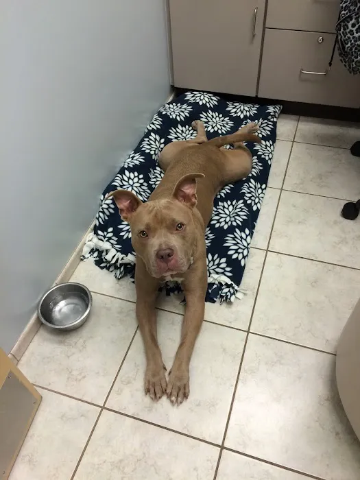 Muddy Branch Veterinary Center 12
