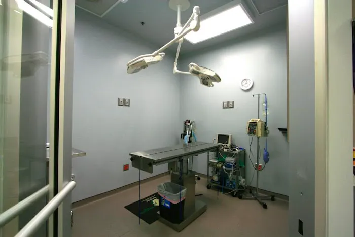 Muddy Branch Veterinary Center 12