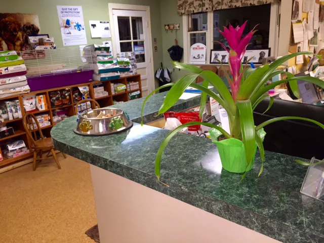 Maple Springs Veterinary Hospital 12