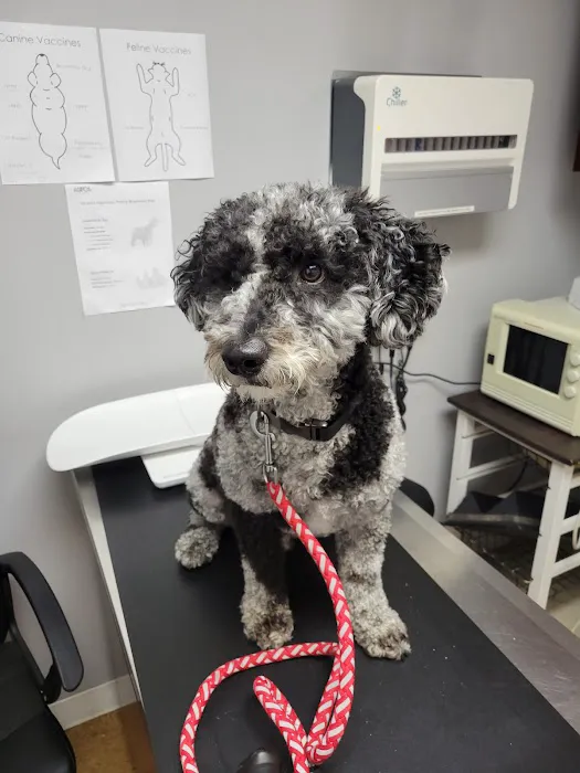 Maple Springs Veterinary Hospital 12