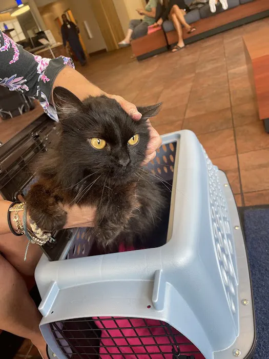 Maple Springs Veterinary Hospital 12