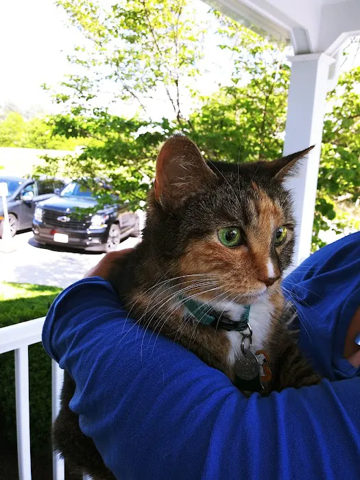 Quince Orchard Veterinary Hospital 12