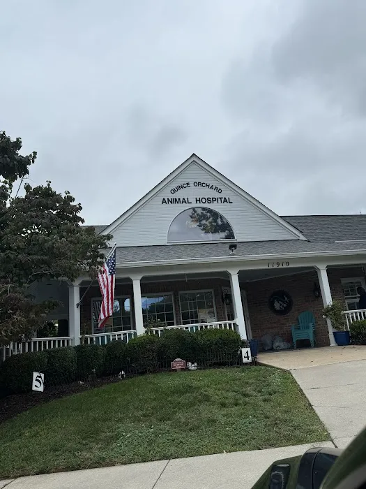 Quince Orchard Veterinary Hospital 12