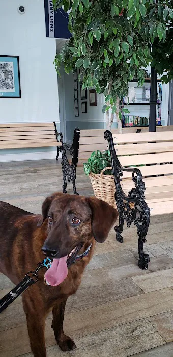 Quince Orchard Veterinary Hospital 12